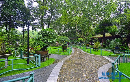 新辦企業(yè)申請園林綠化資質(zhì)所需準備的材料大全